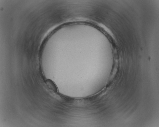 X0000078301364200612011824