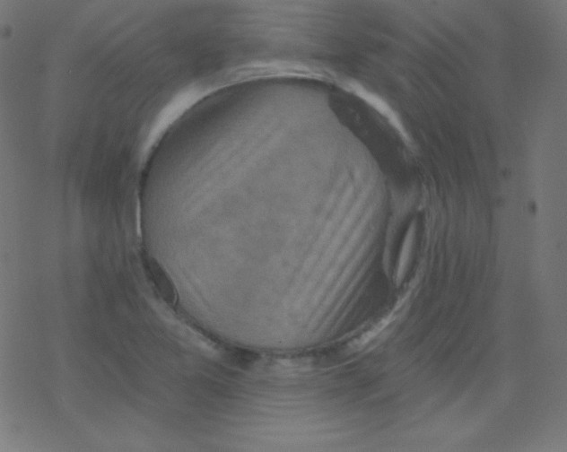 X0000078301365200612011824