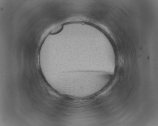 X0000078301366200612011824