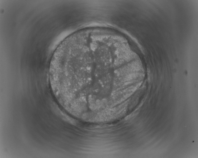 X0000078301367200612011824