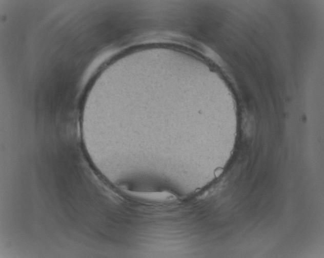 X0000078301368200612011824