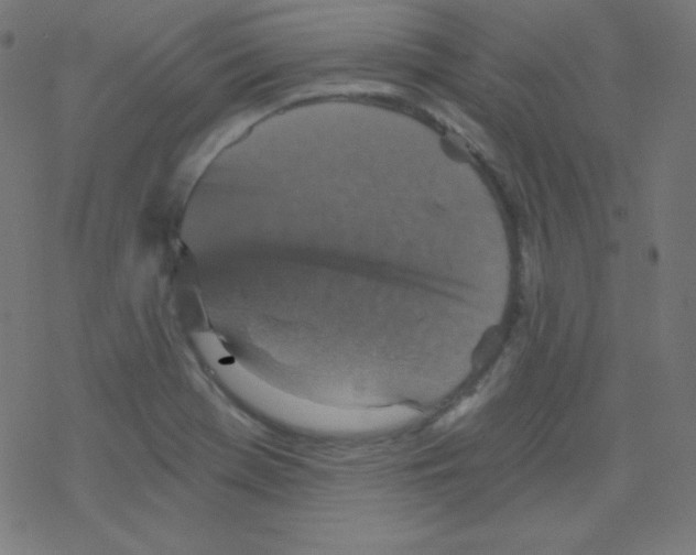 X0000078301369200612011824