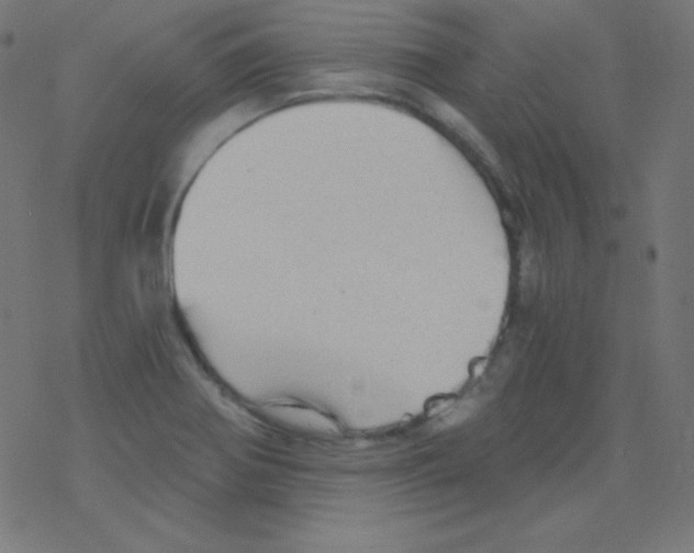 X0000078301370200612011824