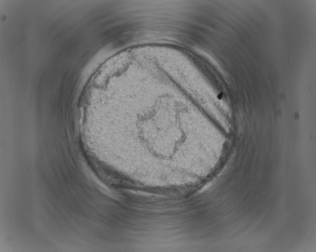 X0000078301371200612011824