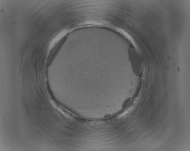 X0000078301373200612011824