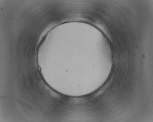 X0000078301374200612011824