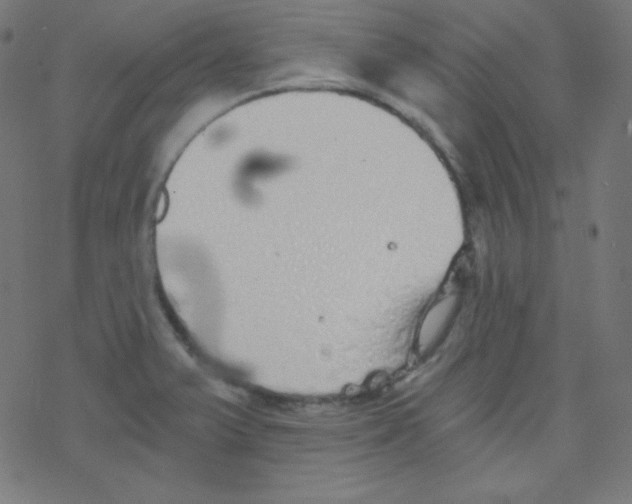 X0000078301375200612011824