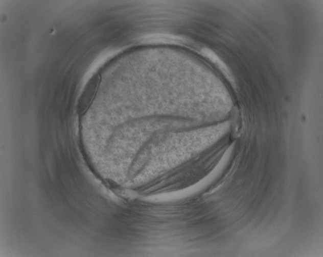 X0000078301376200612011824