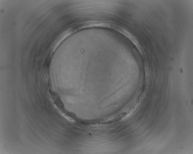 X0000078301377200612011824