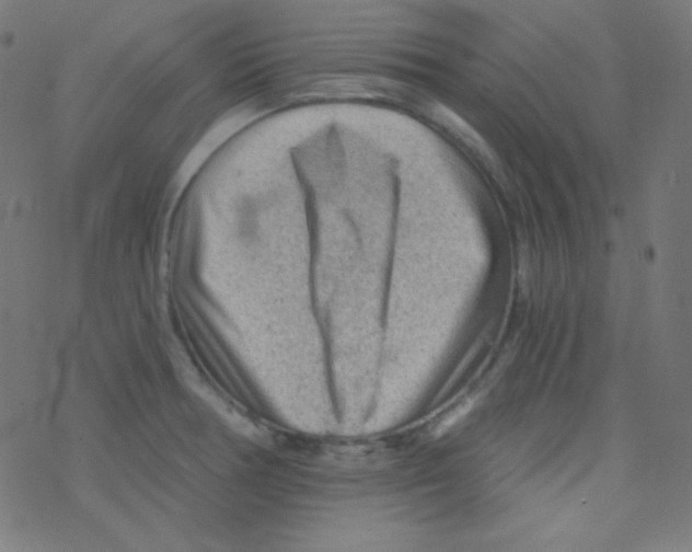 X0000078301378200612011824