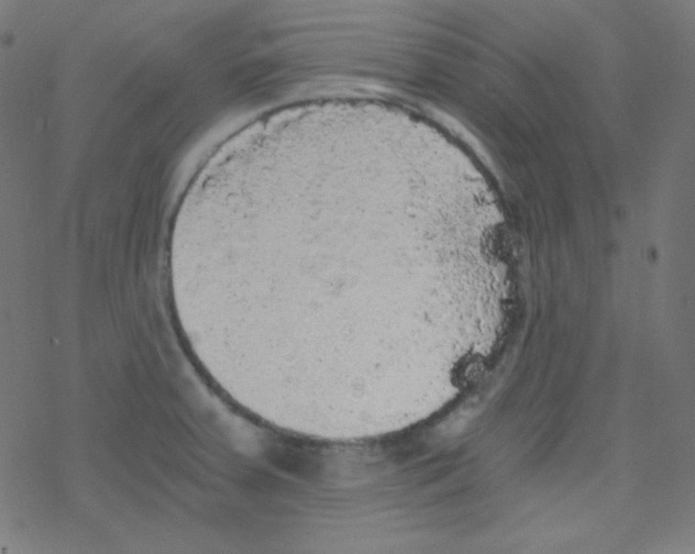 X0000078301379200612011824