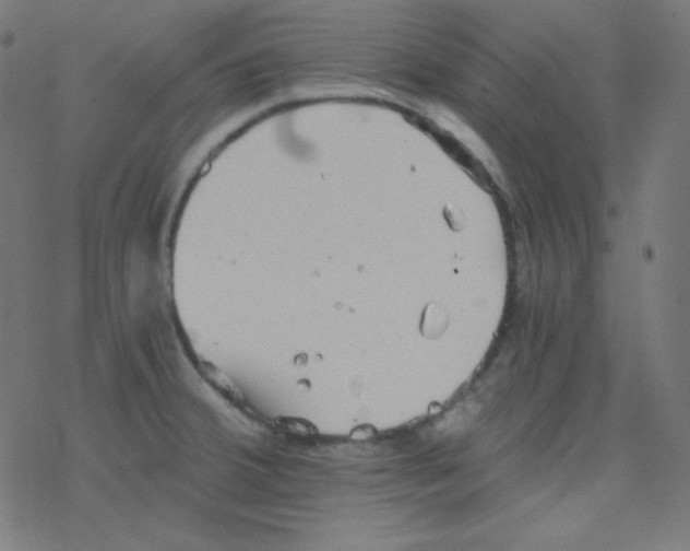 X0000078301380200612011824