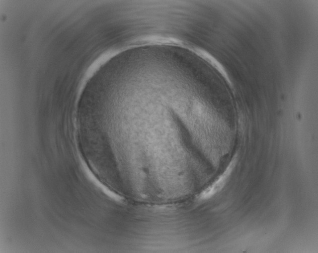 X0000078301381200612011824