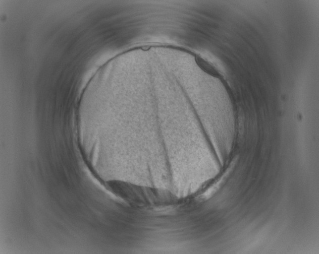 X0000078301382200612011824