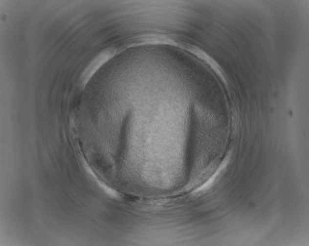 X0000078301385200612011824