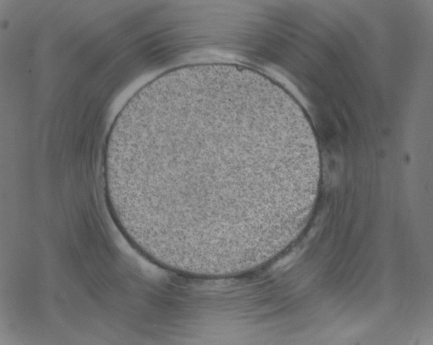 X0000078301387200612011824