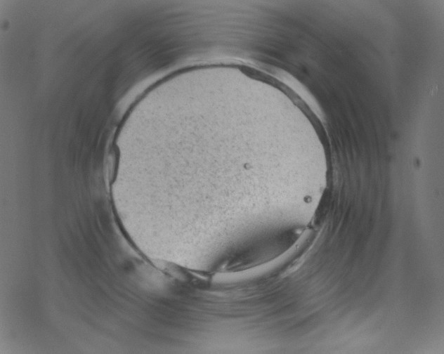 X0000078301388200612011824