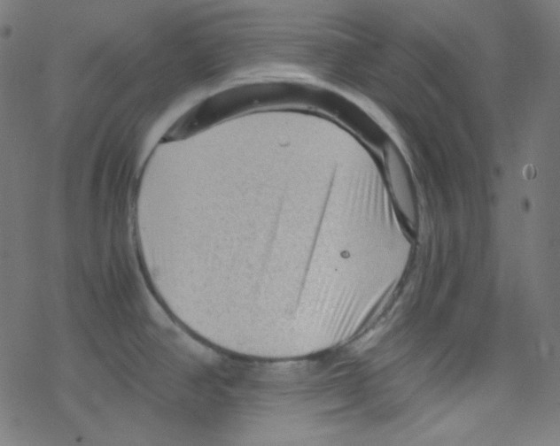 X0000078301390200612011824