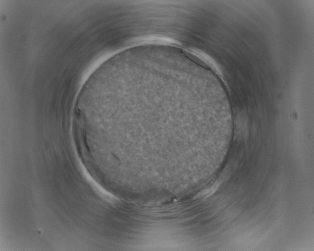 X0000078301391200612011824