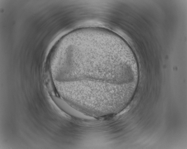 X0000078301392200612011823