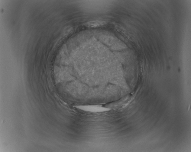 X0000078301393200612011823