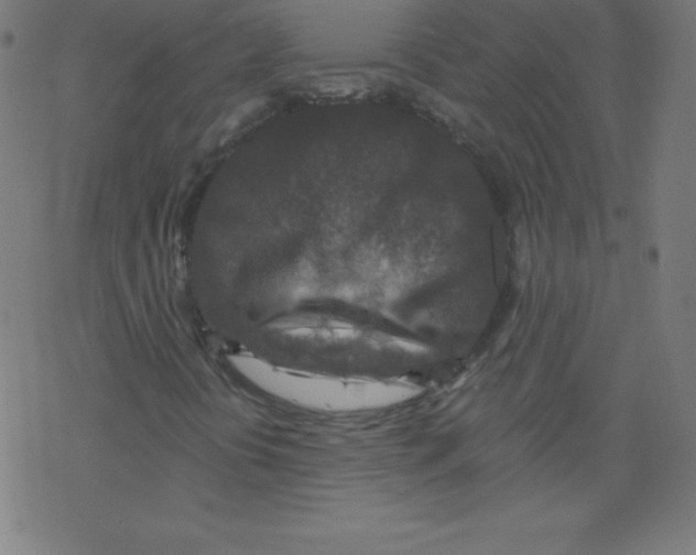 X0000078301394200612011823