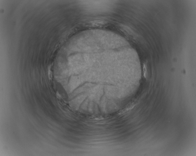 X0000078301395200612011823