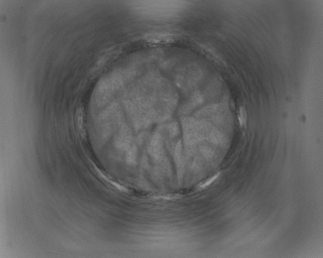 X0000078301396200612011823