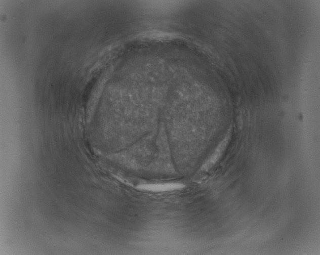 X0000078301397200612011823