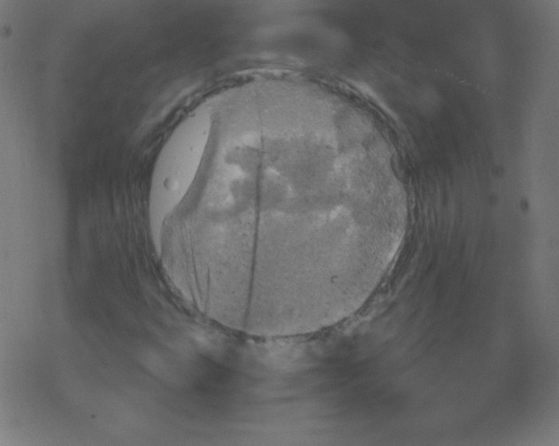 X0000078301399200612011823