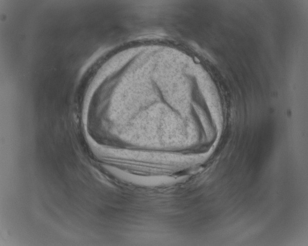 X0000078301400200612011823