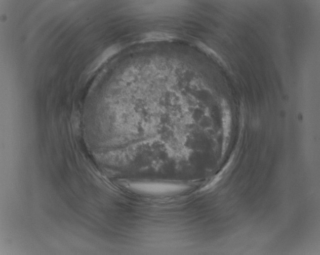 X0000078301401200612011823