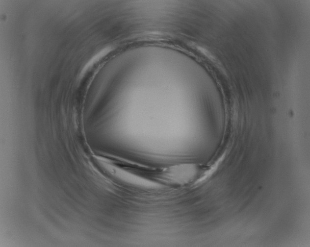 X0000078301402200612011823