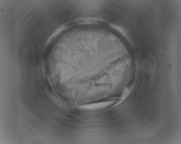 X0000078301403200612011823