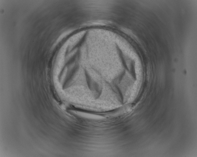 X0000078301404200612011823