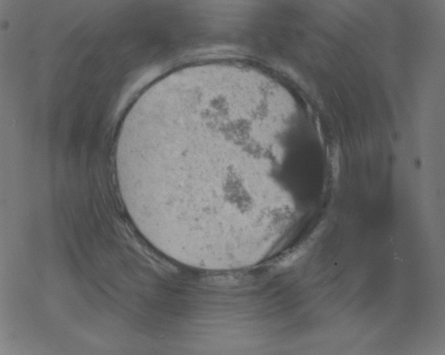 X0000078301405200612011823