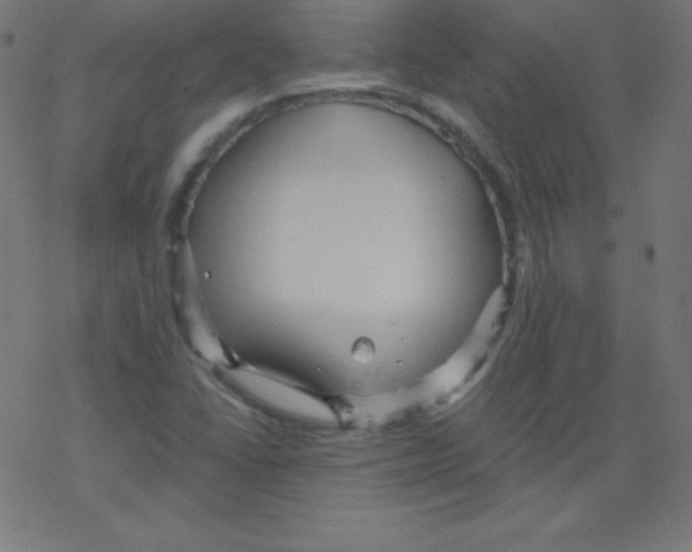 X0000078301406200612011823