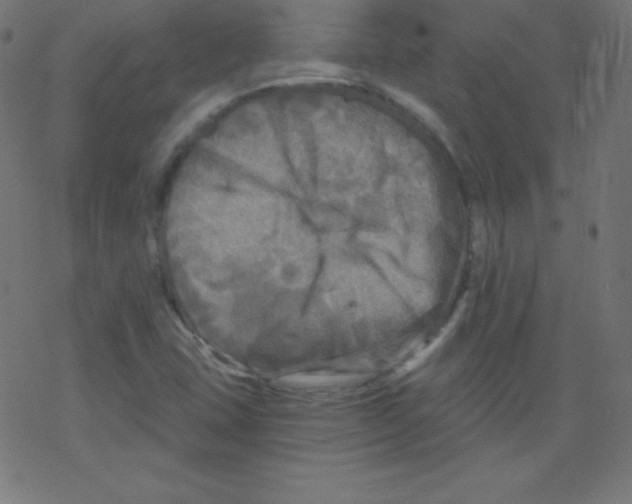 X0000078301407200612011823