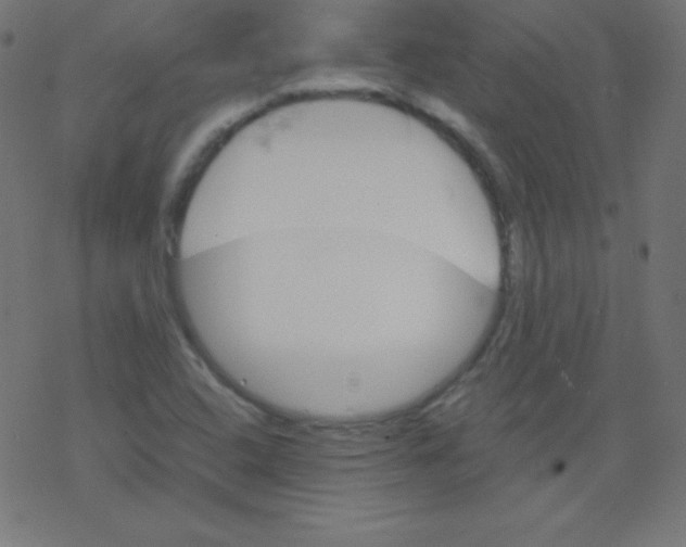 X0000078301408200612011823