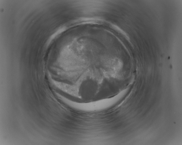 X0000078301411200612011823