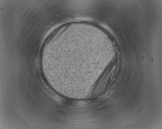 X0000078301412200612011823