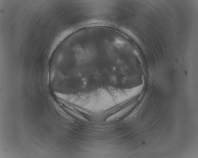 X0000078301413200612011823