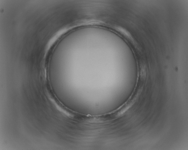 X0000078301414200612011823