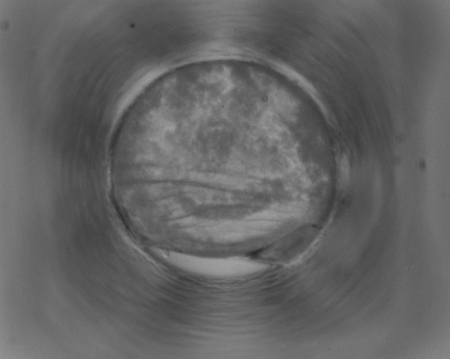 X0000078301415200612011823