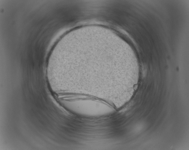 X0000078301416200612011823