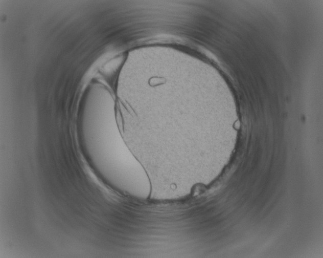 X0000078301418200612011823