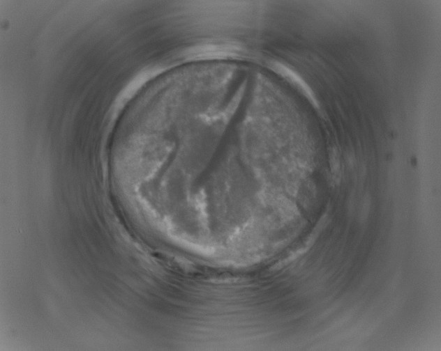 X0000078301419200612011823