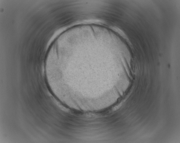 X0000078301420200612011823