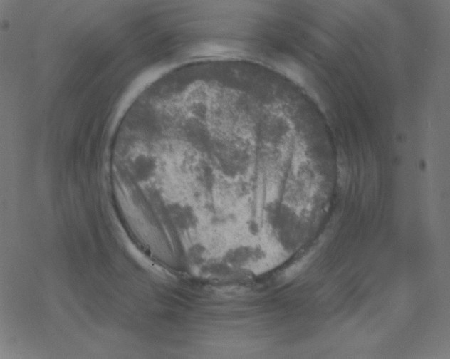 X0000078301421200612011823