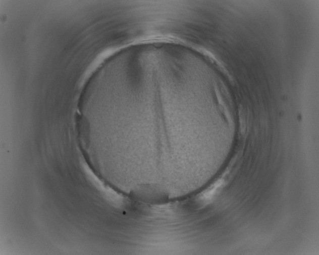 X0000078301422200612011823